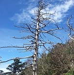 지리산 종주-2